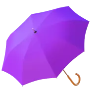 Icon representing rental insurance coverage, featuring an image of a umbrella. 
                        The umbrella is a symbol of protection, indicating that the rental service offers insurance coverage to its customers. The checkmark inside the shield reinforces the message of safety and security, assuring customers that they are covered in case of accidents or damages during their rental period